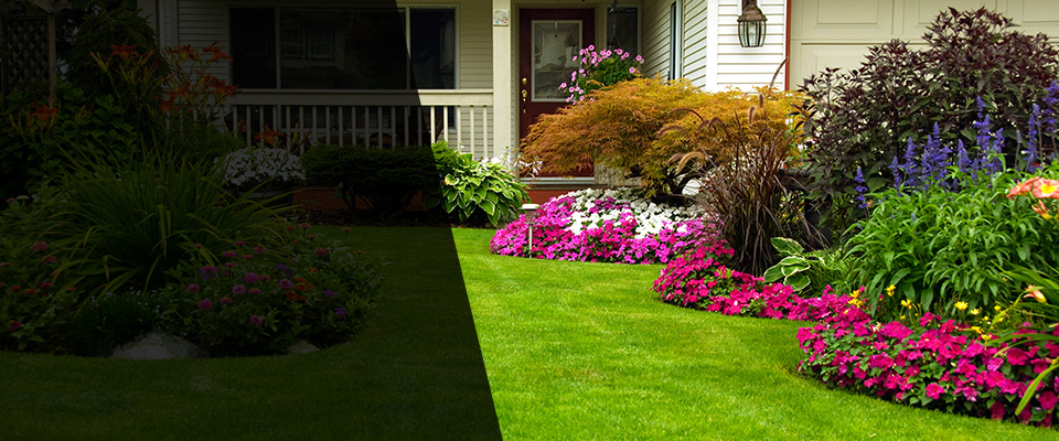 Gulfport Landscapers