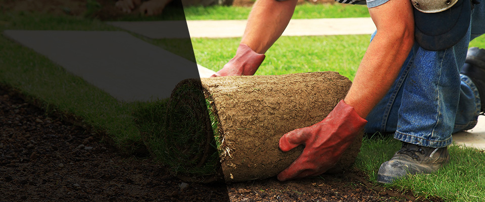 Gulfport Landscapers